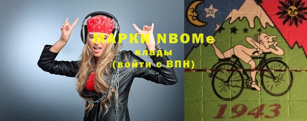 шишки Абаза