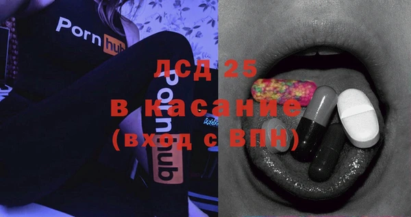 шишки Абаза