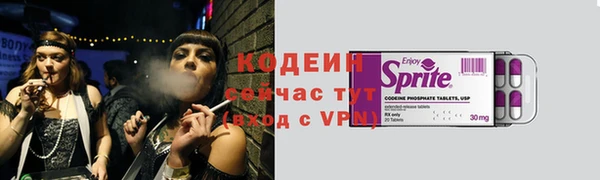 шишки Абаза