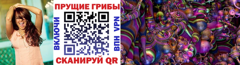 Псилоцибиновые грибы MAGIC MUSHROOMS  цены наркотик  mega сайт  Власиха 